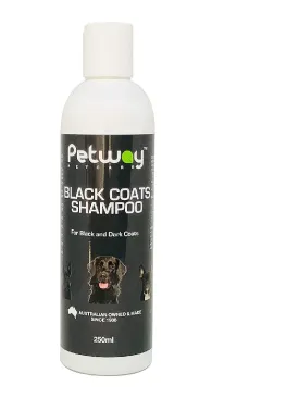 BLACK COATS SHAMPOO 250ML