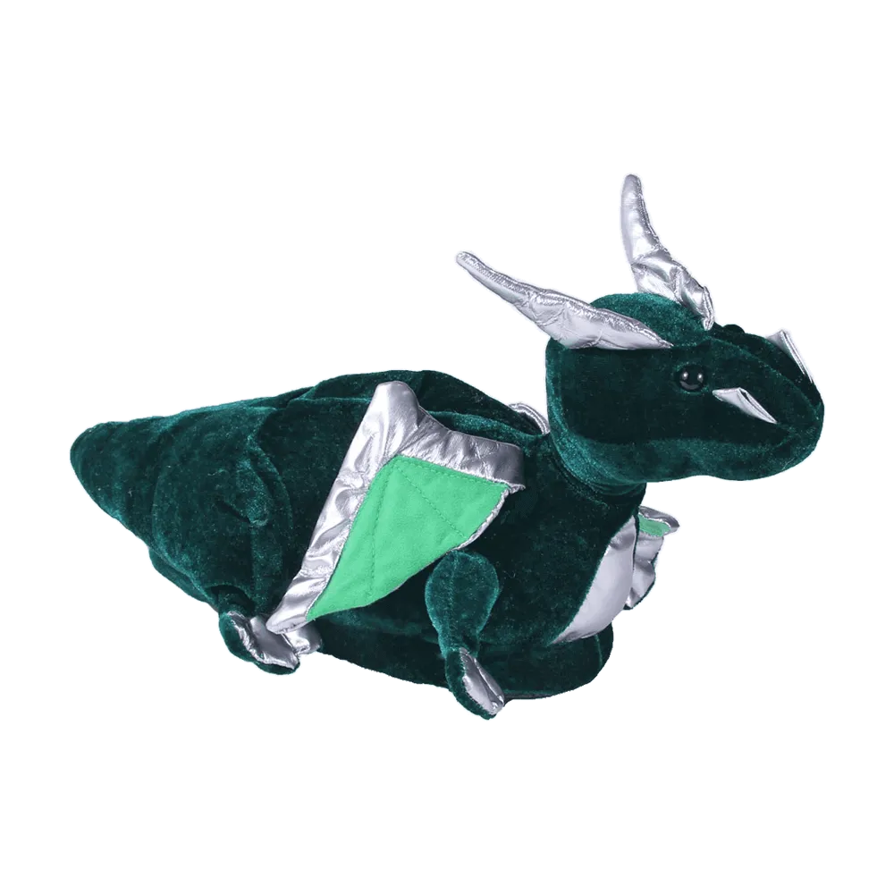 Dragon Slippers